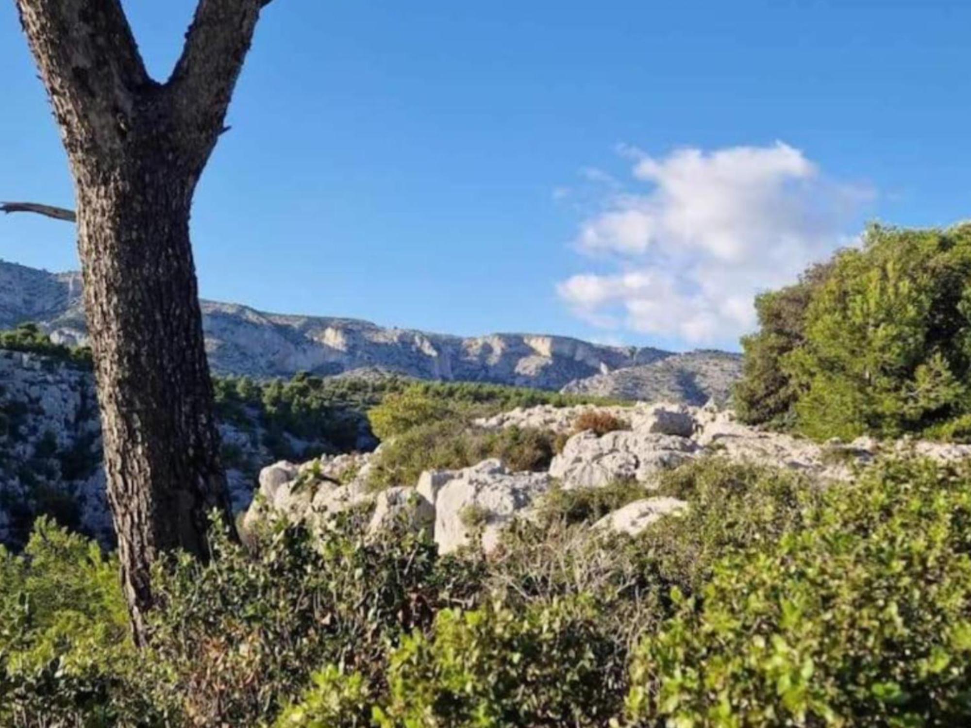 Le Perchoir De Cassis Cocoon Apartment Екстериор снимка